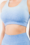 Ombre Seamless Biker Short Set