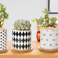 B&W Planters Set of 3