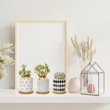 B&W Planters Set of 3